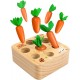 Дървен сортер с моркови