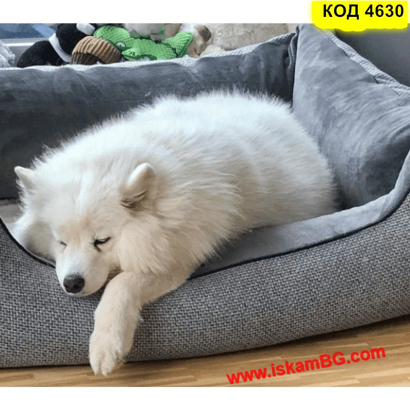 Уютно и красиво легло за кучета и котки с висок борд | Комфорт за малки и средни любимци