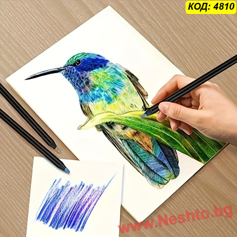 12 броя дъгови моливи